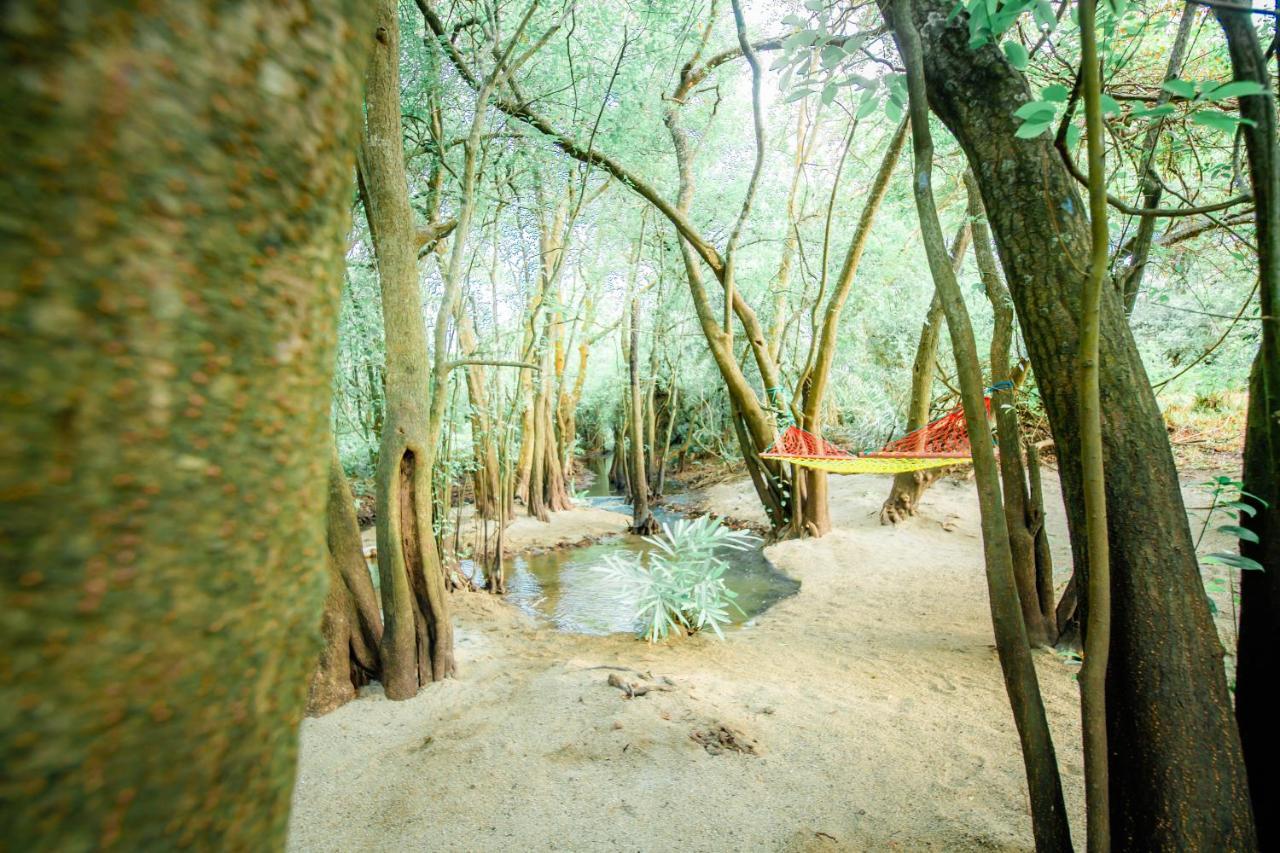 Hotel Kayjay Wild Wilpattu Esterno foto