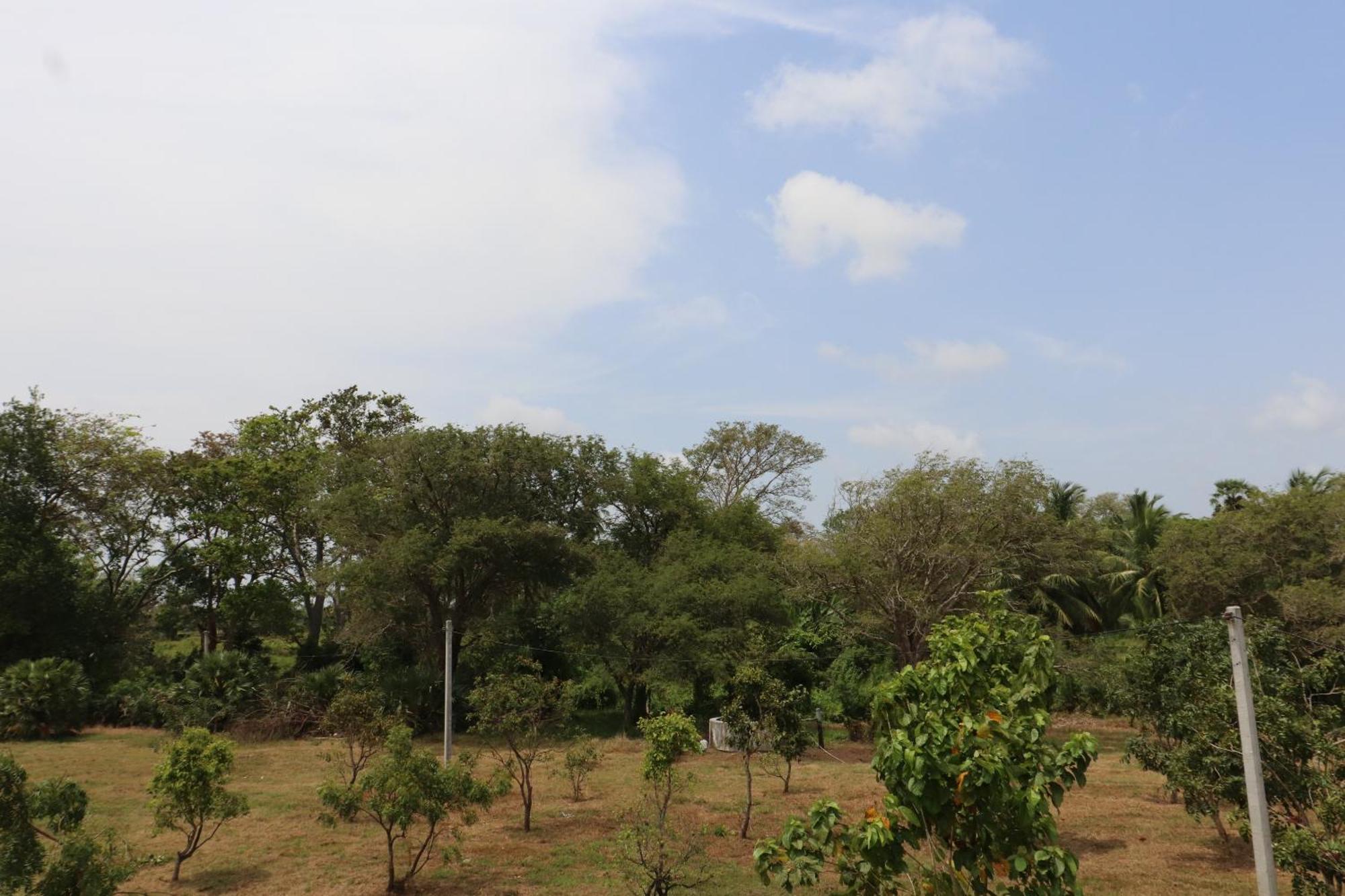 Hotel Kayjay Wild Wilpattu Esterno foto